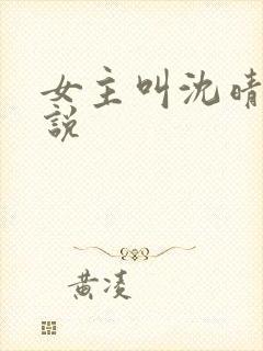 女主叫沈晴的小说