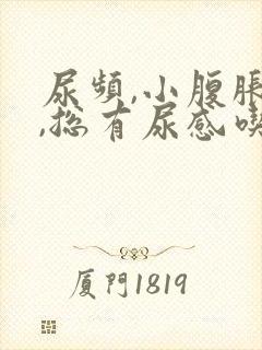 尿频,小腹胀痛,总有尿感吃什么药