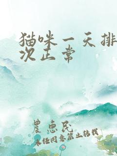 猫咪一天排尿几次正常