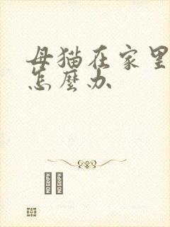 母猫在家里乱尿怎么办