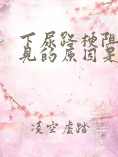 下尿路梗阻最常见的原因是