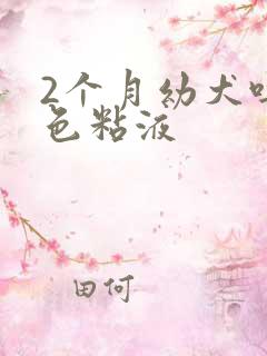 2个月幼犬吐白色粘液