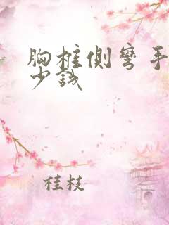 胸椎侧弯手术多少钱