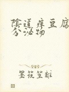 阴道痒豆腐渣样分泌物