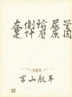 左侧输尿管结石是什么原因造成的