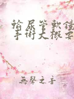 输尿管软镜取石手术大概要多少钱