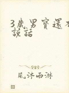 3岁男宝还不会说话