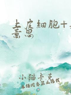 上皮细胞+是啥意思