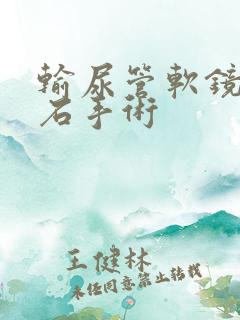 输尿管软镜取结石手术