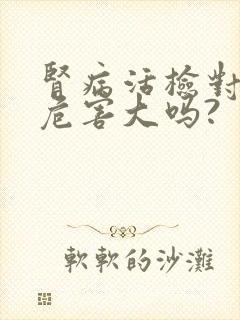 肾病活检对身体危害大吗?