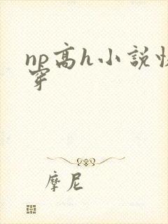 np高h小说快穿