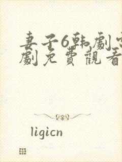 妻子6韩剧电视剧免费观看全集