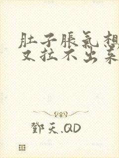 肚子胀气想大便又拉不出来怎么办