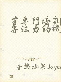 有专门培训儿童专注力的机构吗?