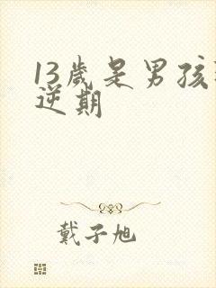 13岁是男孩叛逆期