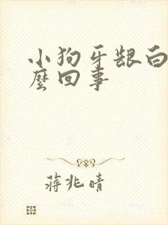 小狗牙龈白是怎么回事