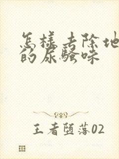 怎样去除地板上的尿骚味