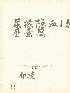 尿检隐血1加什么意思