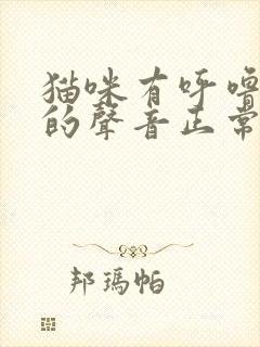 猫咪有呼噜呼噜的声音正常吗