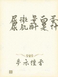 尿微量白蛋白/尿肌酐是什么意思