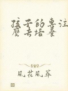 孩子的专注力怎么去培养