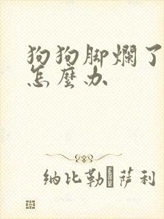 狗狗脚烂了流脓怎么办