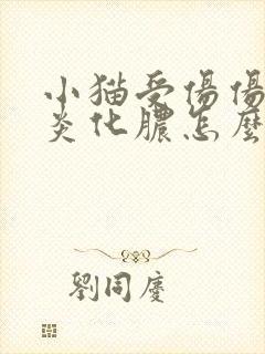 小猫受伤伤口发炎化脓怎么办