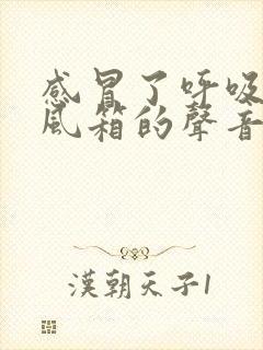 感冒了呼吸有拉风箱的声音