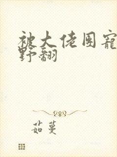 被大佬团宠后我野翻