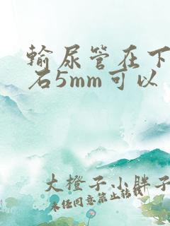 输尿管在下段结石5mm可以自行排出吗