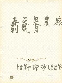 春天是农历几月到几月