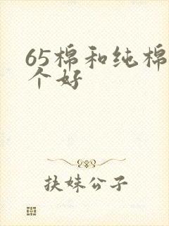 65棉和纯棉哪个好