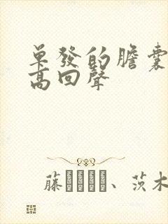 单发的胆囊息肉高回声