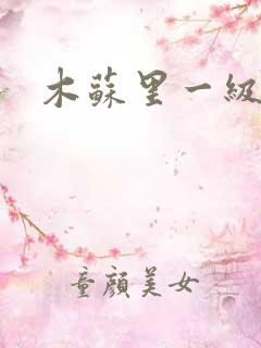 木苏里一级律师