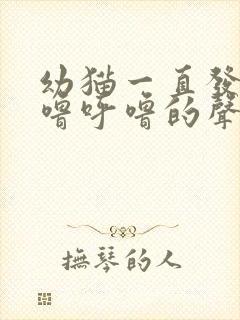 幼猫一直发出呼噜呼噜的声音是什么原因