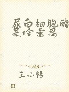 尿白细胞酯酶a是啥意思