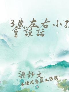 3岁左右小孩不会说话