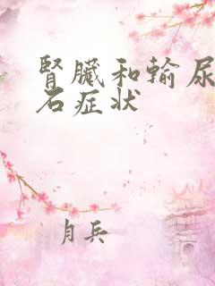 肾脏和输尿管结石症状