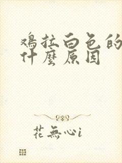 鸡拉白色的屎是什么原因