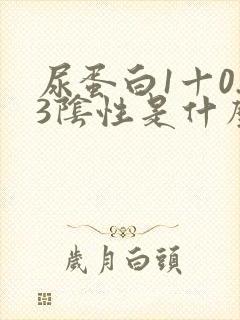 尿蛋白1十0.3阴性是什么意思