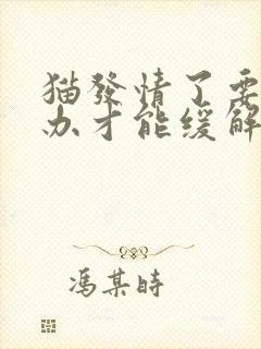 猫发情了要怎么办才能缓解