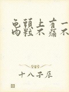 龟头上有一圈小肉粒不痛不痒