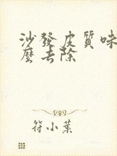 沙发皮质味道怎么去除