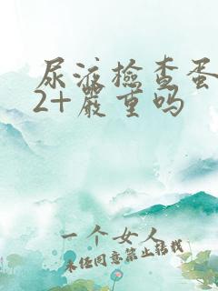 尿液检查蛋白质2+严重吗