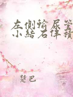 左侧输尿管盆段小结石伴积水