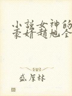 小说女神的上门豪婿赵旭全文阅读