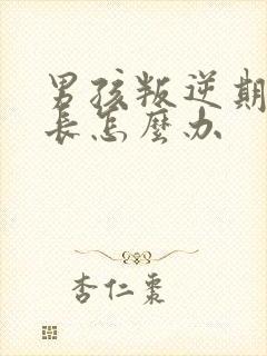 男孩叛逆期时家长怎么办