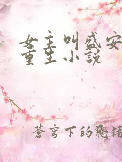 女主叫盛安宁的重生小说