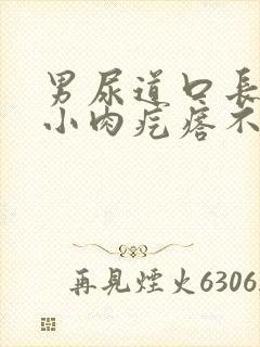 男尿道口长了个小肉疙瘩不痛不痒