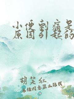 小便刺痛是什么原因引起的